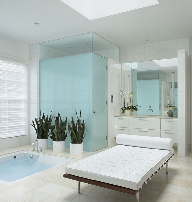 https://cdn.decoist.com/wp-content/uploads/2014/07/Hint-of-aqua-along-with-whte-bring-serenity-to-the-master-bath.jpg