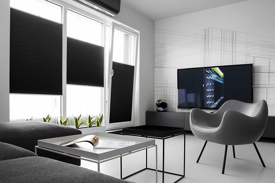 Minimalist decor in grey adds to the cahrm of the black and white interior