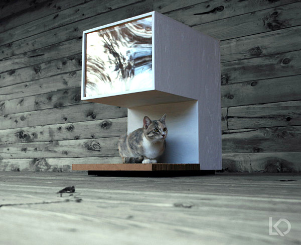 Modern cat house