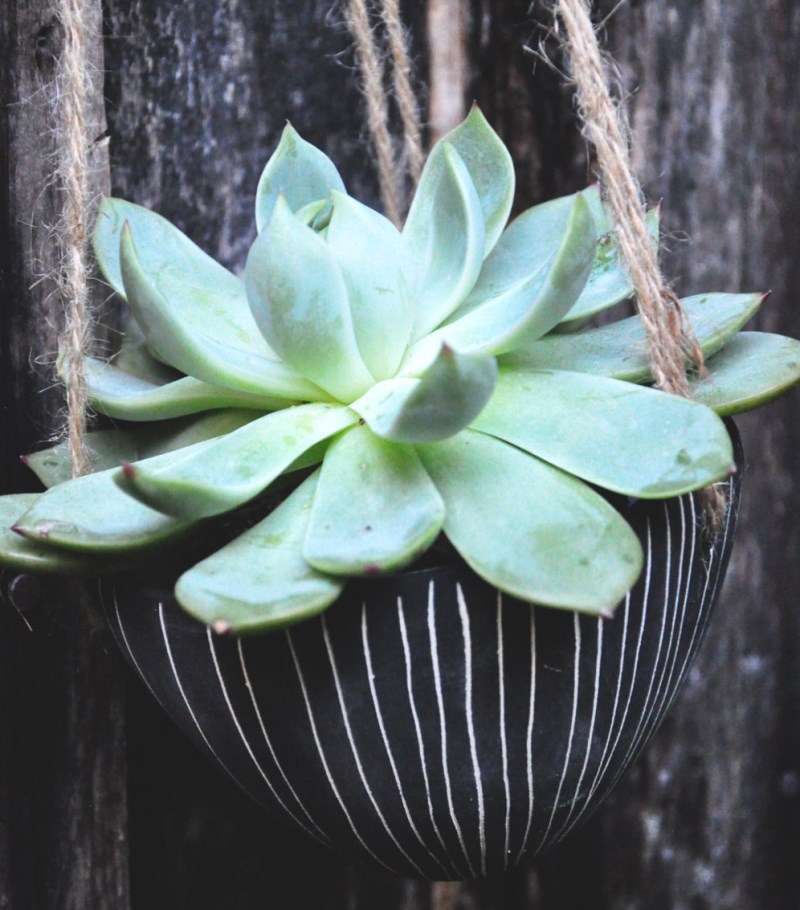 Vertical Line Design Hanging Planter from Half Light Honey Studio