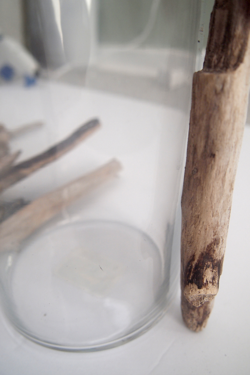 Crafting a stylish Driftwood candleholder right at home