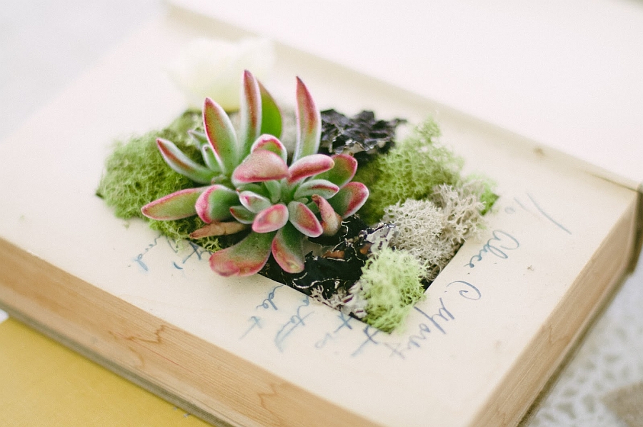 DIY Book Planter is a fun home project