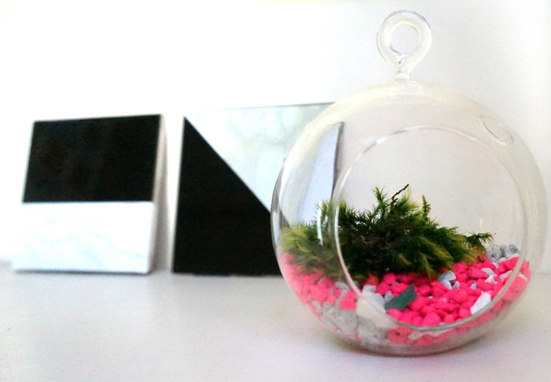 Glass terrarium with moss and rocks