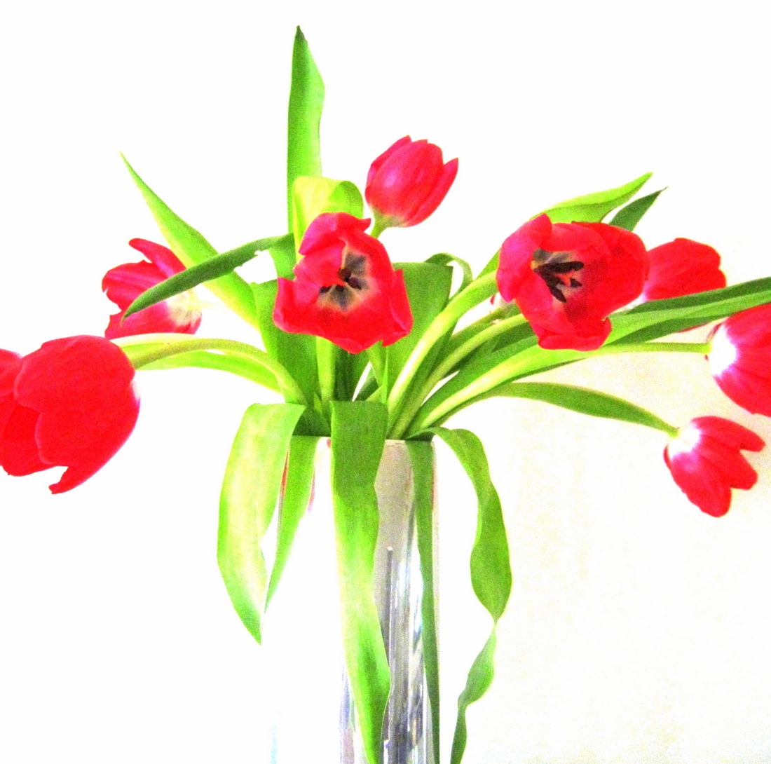 Metal vase filled with tulips