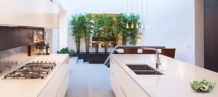 Modern kitchen with a screen of plants