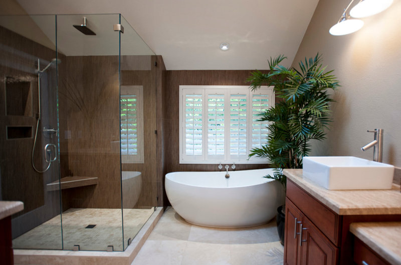 Modern master bath with an indoor palm