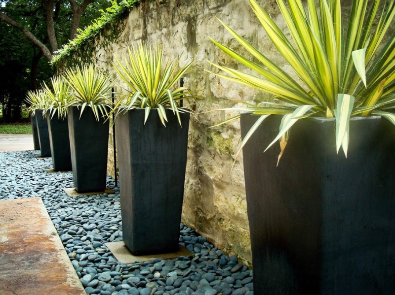 Modern planters in a matching yard