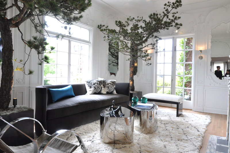 San Francisco living room with towering trees