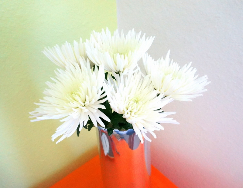 Spider mums in a chrome vase