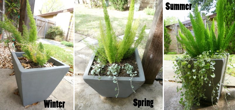 The progression of a planter