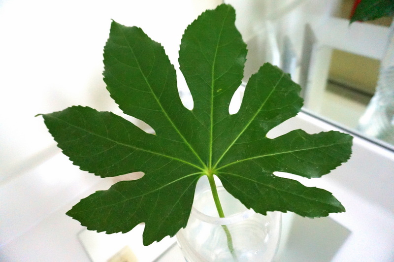 Tropical leaf centerpiece