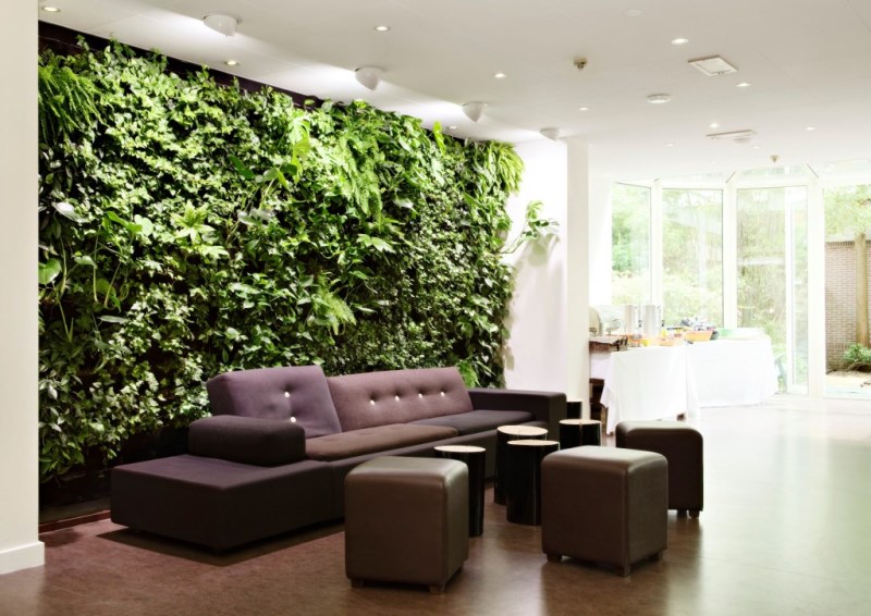 Wall of greenery in an indoor living area