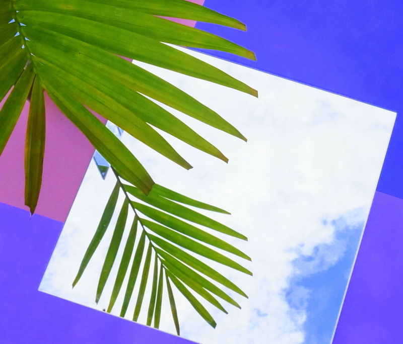 A square mirror reflects clouds and palm leaves