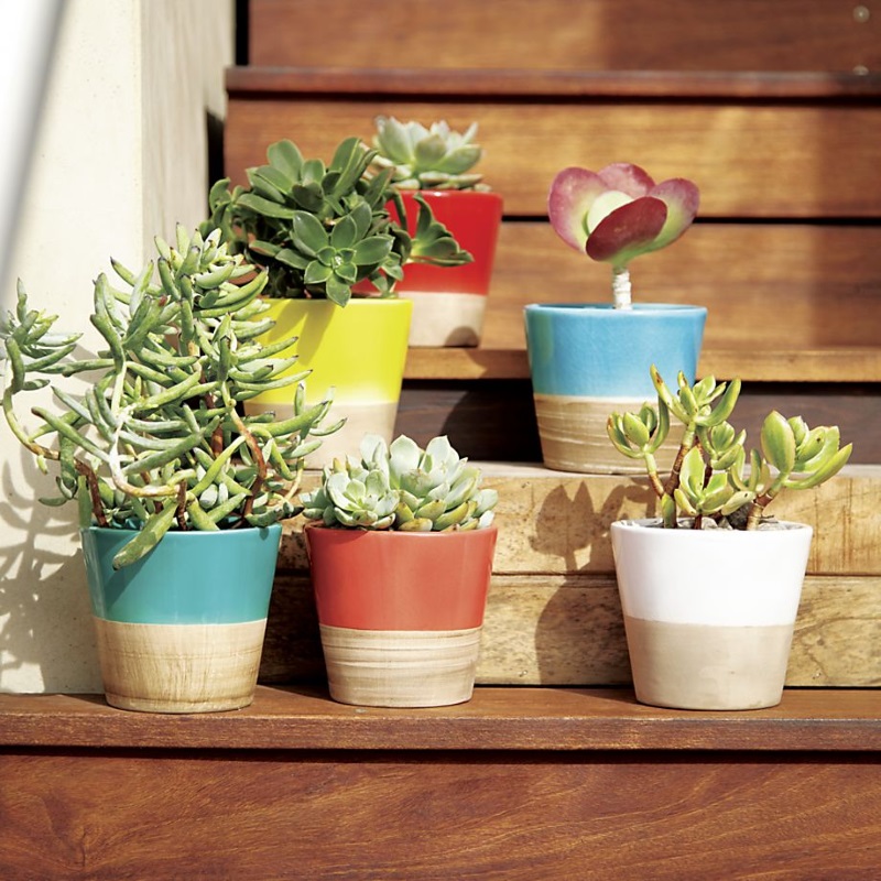 Colorful pots from Crate & Barrel