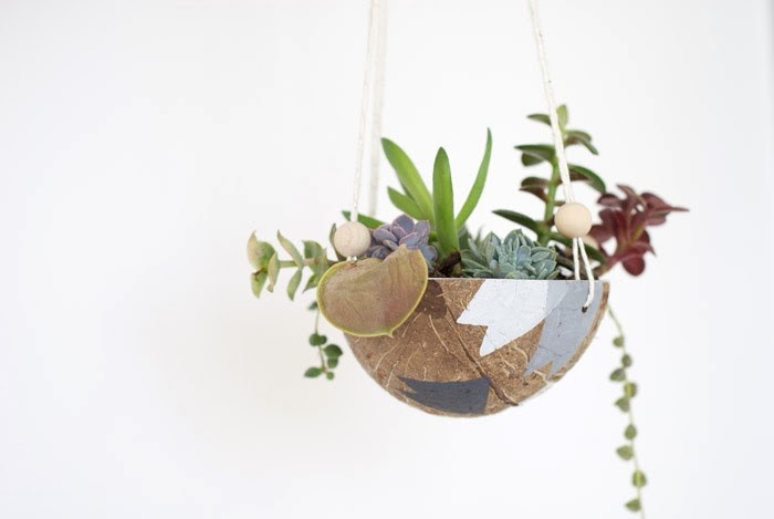 DIY coconut hanging planter