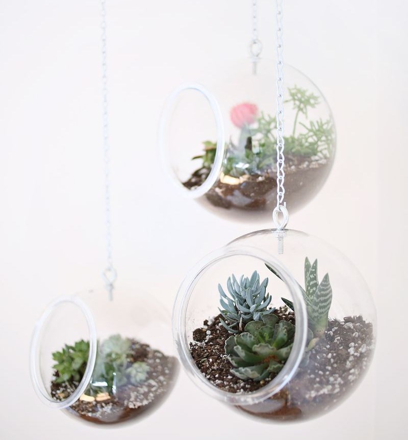 DIY hanging globe planter