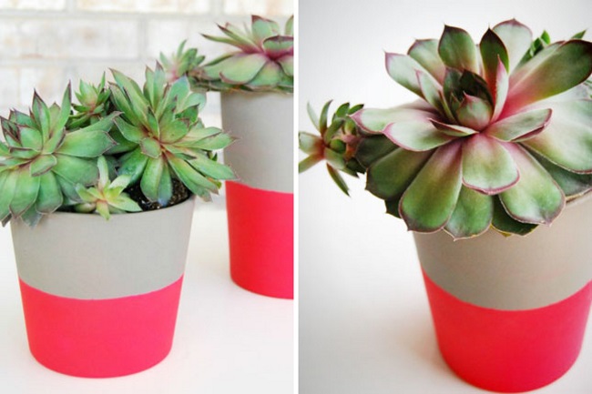 DIY neon dipped pots