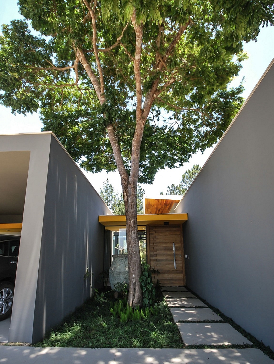 Entrance of the house with a tree between the two access points