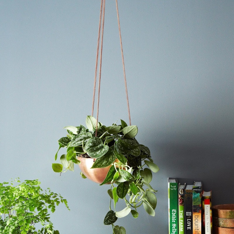 Hanging planter from Etsy shop IN.SEK DESIGN