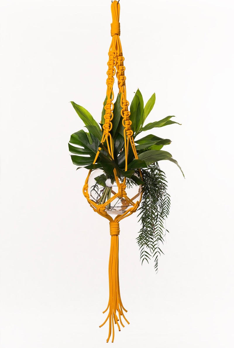 Macrame hanging planter