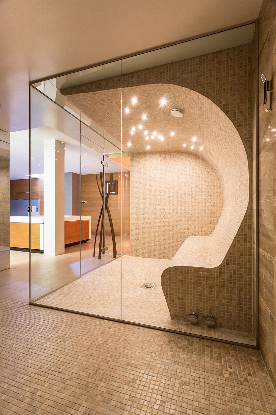 Spa-like home shower and steam room