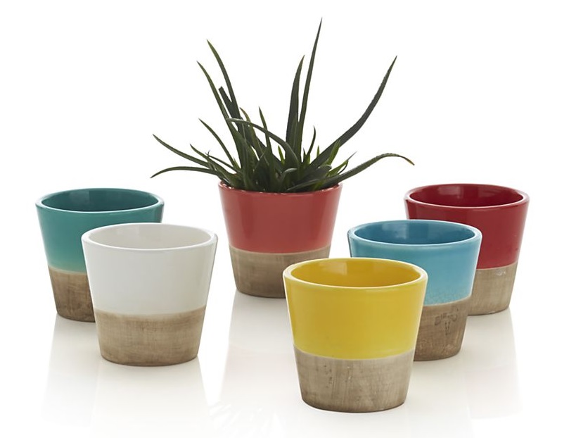 Two-tone earthenware planters from Crate & Barrel