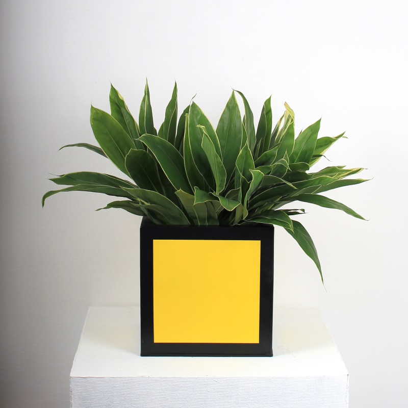 Yellow zinc planter from Darkroom