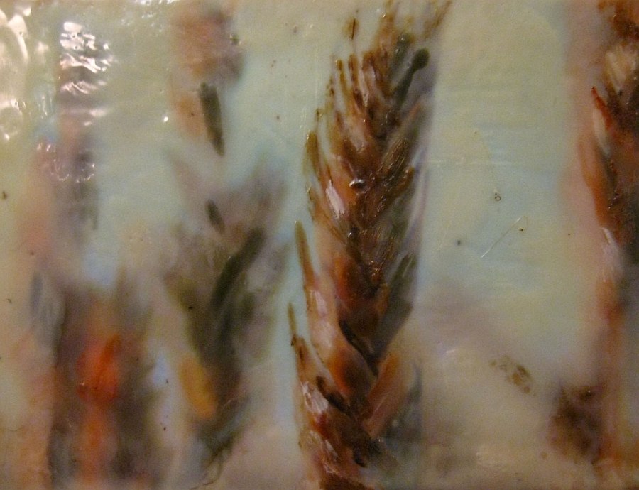 Close up of the Ancient Grains reveals the layered beauty of encaustic art