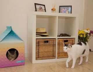 Eco-Friendly Pet Playhouse With Scandinavian Style!
