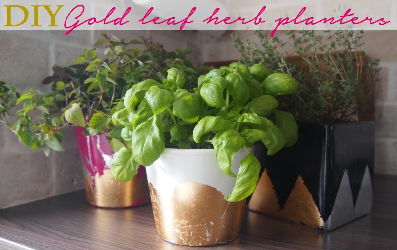 DIY Gold Leaf Herb Planter Idea