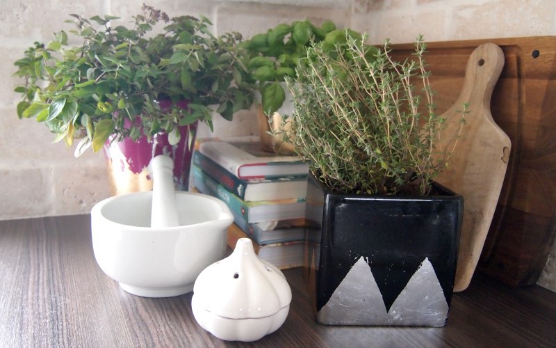 Give your kitchen some herbal magic with Chic DIY Planters