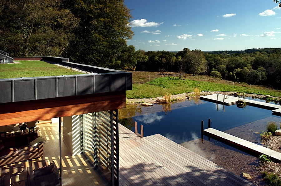 Lovely natural pond offers a secluded retreat