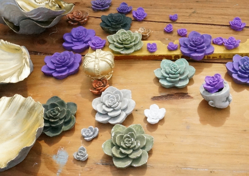 Succulents by Richard Taylor