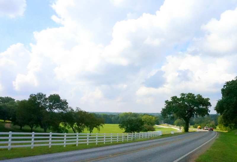 The drive to Round Top, Texas