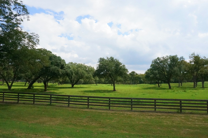 The rolling hills near Round Top, Texas