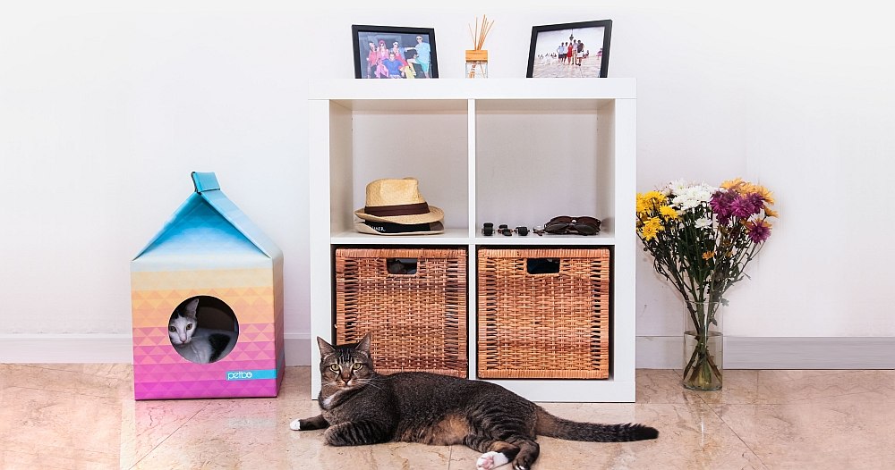 Trendy little playhouse idea for your cat