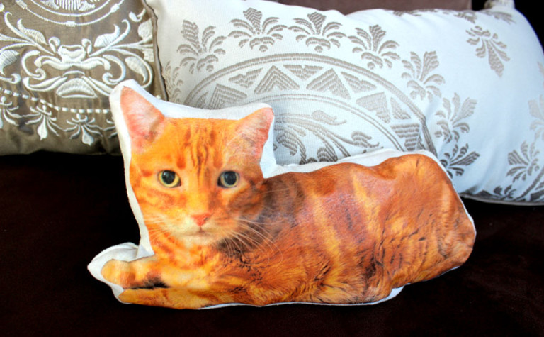 trending custom cat pillow