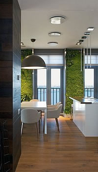 green accent walls apartment
