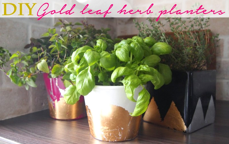 DIY Gold Leaf Planter