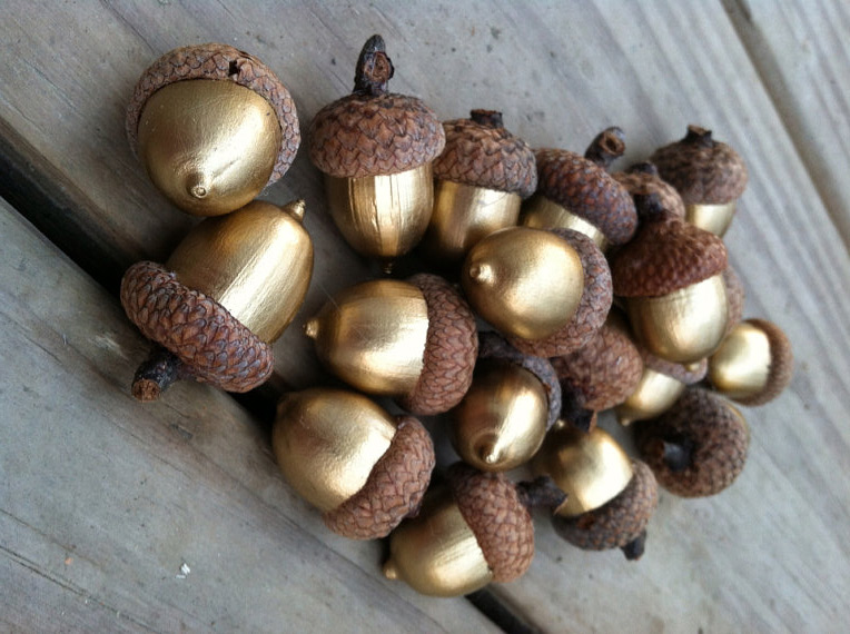 Gold Acorns