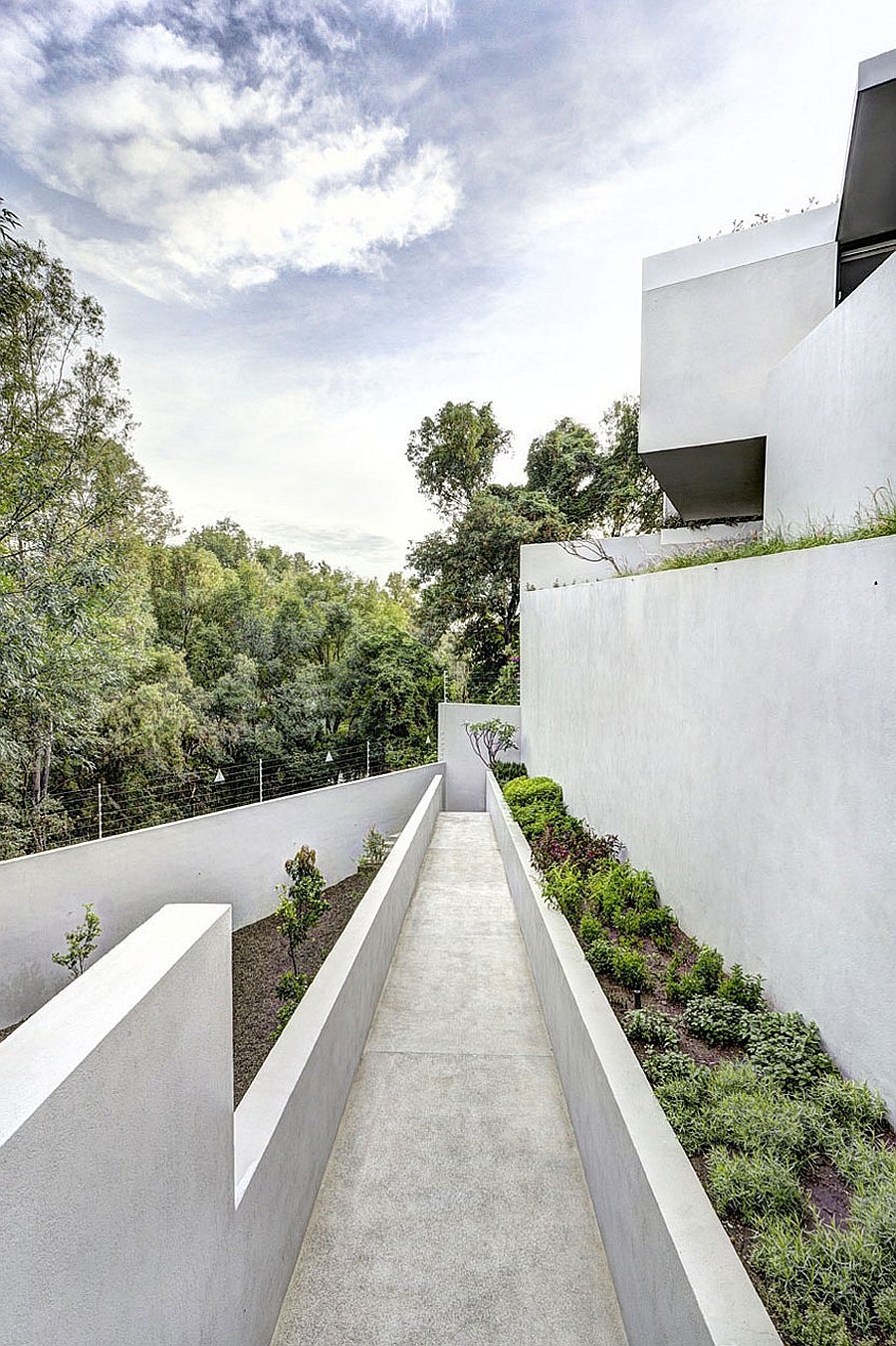 Concrete walkway surrounded by greenery