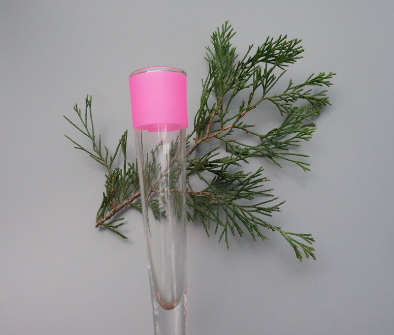 Neon pink vase project