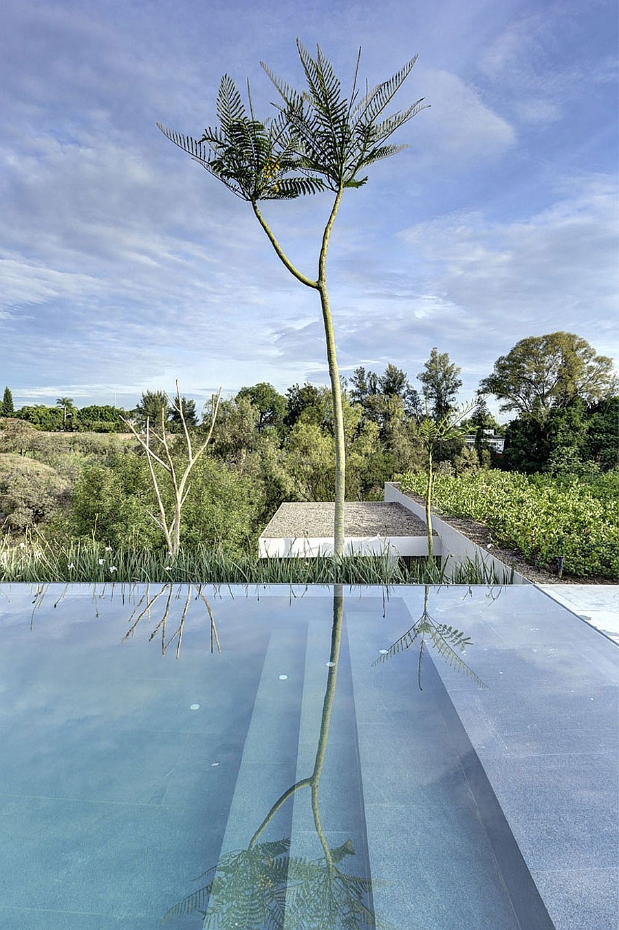 View of the natural landscape from the pool deck