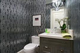 Guest Bathroom - Powder Room Design Ideas: 20 Photos