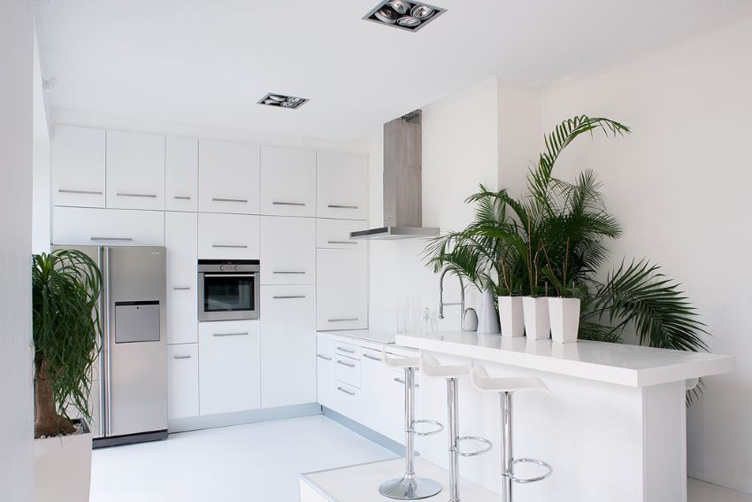 White kitchen with tropical plants