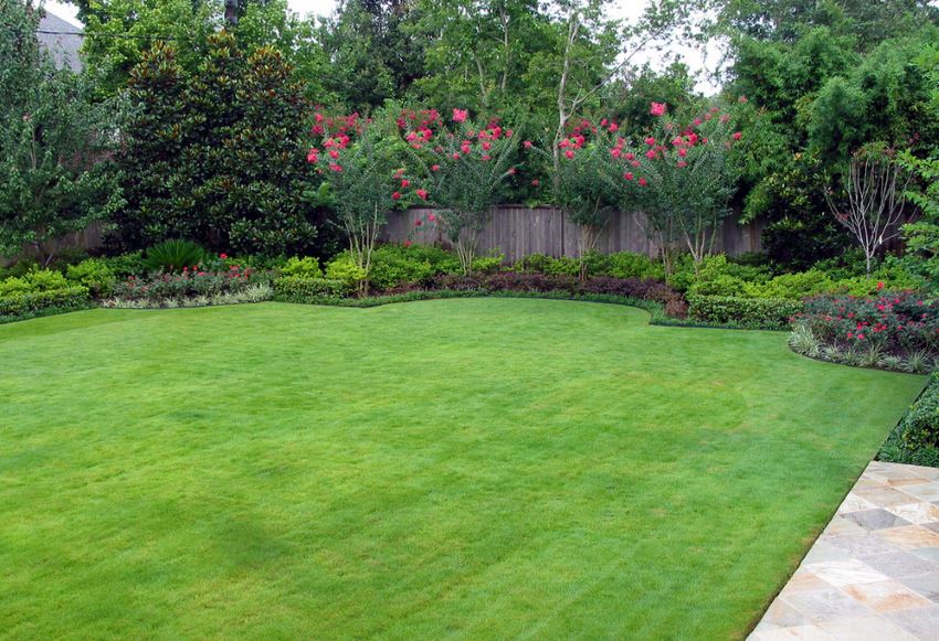 Bright pops of pink in a Houston yard