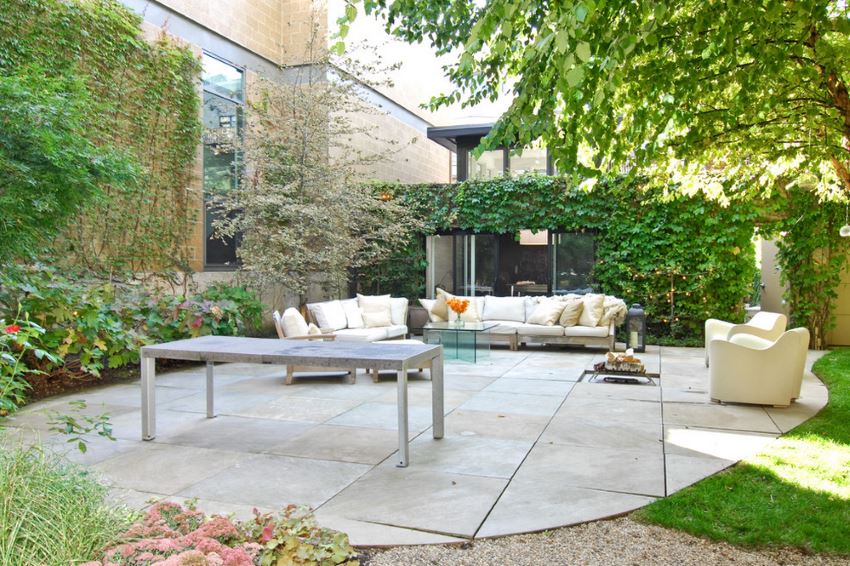 Contemporary patio with trees and vines