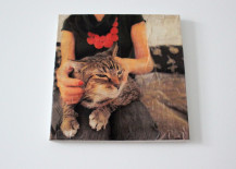 DIY-Cat-Decoupage-Painting-217x155