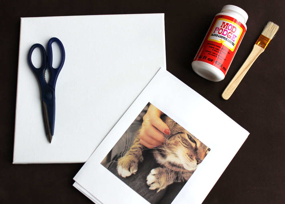 DIY Photo Canvas Art Materials