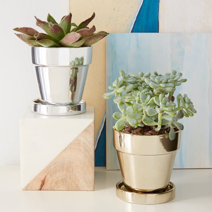 Metallic planters from West Elm